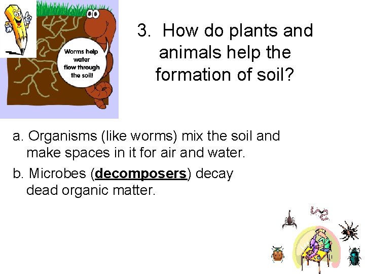 3. How do plants and animals help the formation of soil? a. Organisms (like