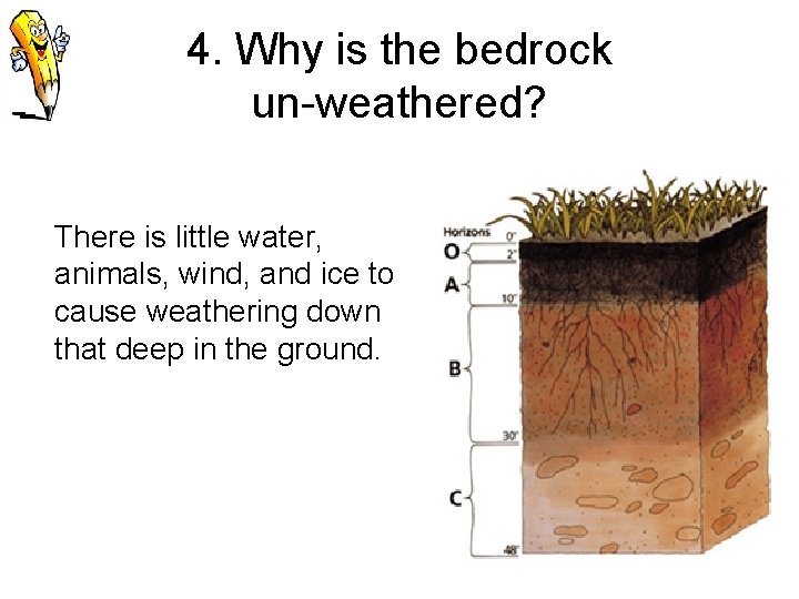 4. Why is the bedrock un-weathered? There is little water, animals, wind, and ice