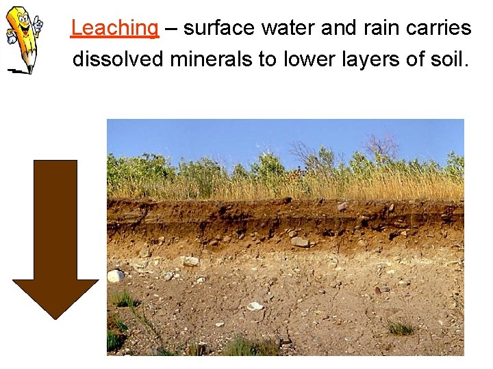 Leaching – surface water and rain carries dissolved minerals to lower layers of soil.