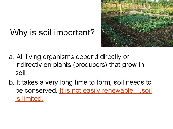 Why is soil important? a. All living organisms depend directly or indirectly on plants