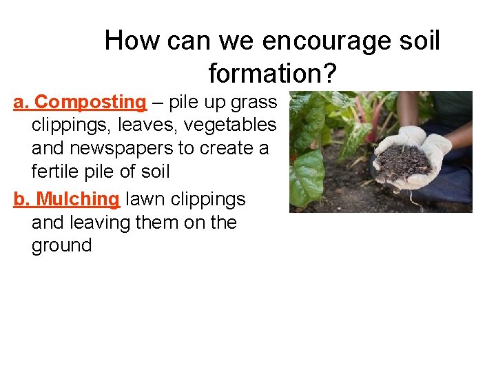How can we encourage soil formation? a. Composting – pile up grass clippings, leaves,