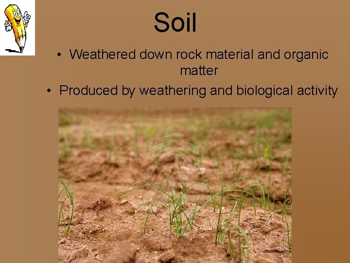 Soil • Weathered down rock material and organic matter • Produced by weathering and