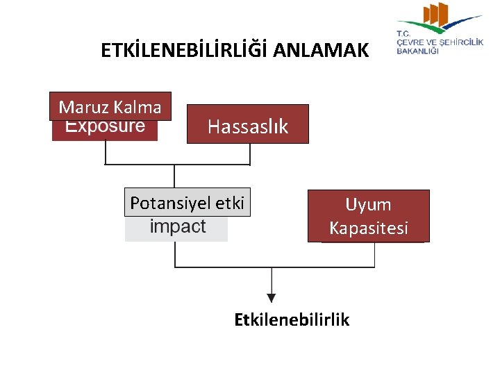 ETKİLENEBİLİRLİĞİ ANLAMAK Maruz Kalma Hassaslık Potansiyel etki Uyum Kapasitesi Etkilenebilirlik 