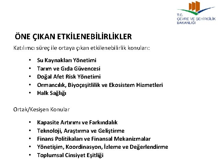 ÖNE ÇIKAN ETKİLENEBİLİRLİKLER Katılımcı süreç ile ortaya çıkan etkilenebilirlik konuları: • • • Su