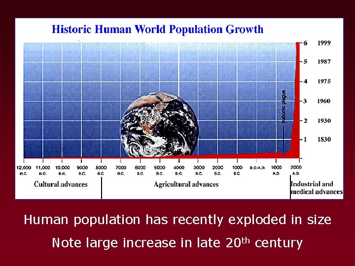 Human population has recently exploded in size Note large increase in late 20 th