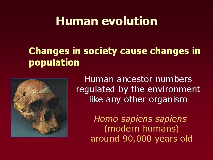 Human evolution Changes in society cause changes in population Human ancestor numbers regulated by