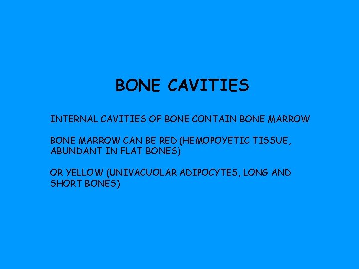 BONE CAVITIES INTERNAL CAVITIES OF BONE CONTAIN BONE MARROW CAN BE RED (HEMOPOYETIC TISSUE,