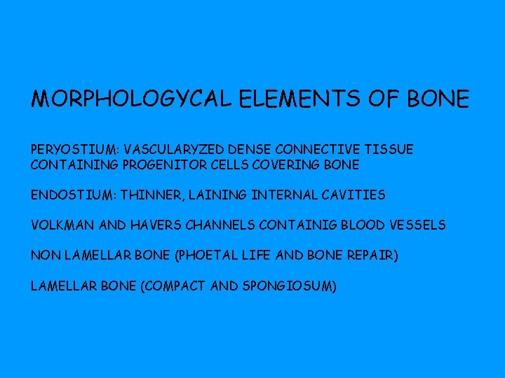 MORPHOLOGYCAL ELEMENTS OF BONE PERYOSTIUM: VASCULARYZED DENSE CONNECTIVE TISSUE CONTAINING PROGENITOR CELLS COVERING BONE