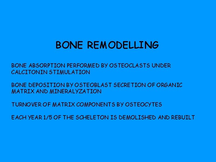 BONE REMODELLING BONE ABSORPTION PERFORMED BY OSTEOCLASTS UNDER CALCITONIN STIMULATION BONE DEPOSITION BY OSTEOBLAST