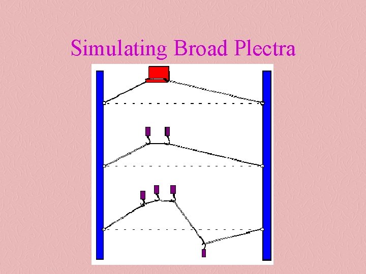 Simulating Broad Plectra 