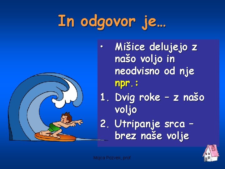 In odgovor je… • Mišice delujejo z našo voljo in neodvisno od nje npr.