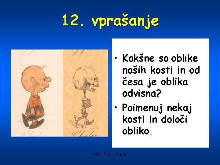 12. vprašanje • Kakšne so oblike naših kosti in od česa je oblika odvisna?