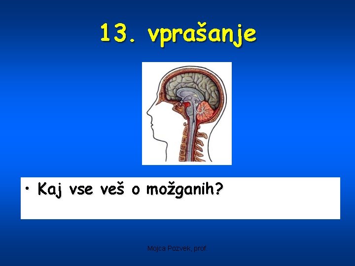 13. vprašanje • Kaj vse veš o možganih? Mojca Pozvek, prof. 