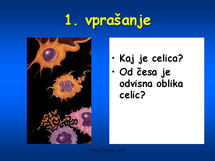 1. vprašanje • Kaj je celica? • Od česa je odvisna oblika celic? Mojca