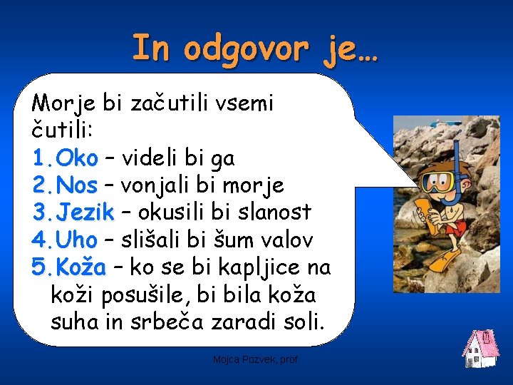 In odgovor je… Morje bi začutili vsemi čutili: 1. Oko – videli bi ga