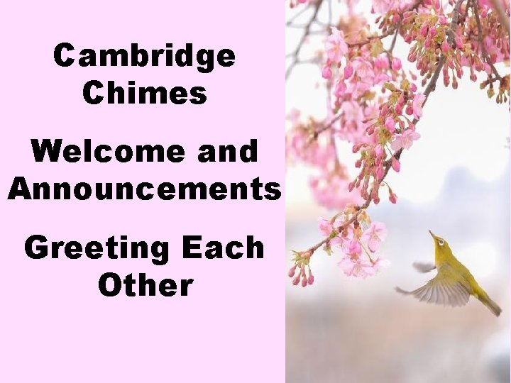 Cambridge Chimes Welcome and Announcements Greeting Each Other 