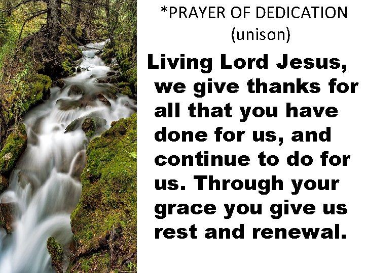 *PRAYER OF DEDICATION (unison) Living Lord Jesus, we give thanks for all that you