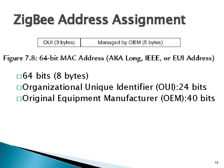 Zig. Bee Address Assignment � 64 bits (8 bytes) � Organizational Unique Identifier (OUI):