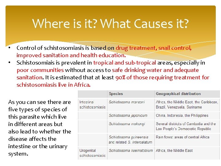 Where is it? What Causes it? • Control of schistosomiasis is based on drug