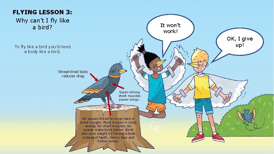 FLYING LESSON 3: Why can’t I fly like a bird? It won’t work! OK,