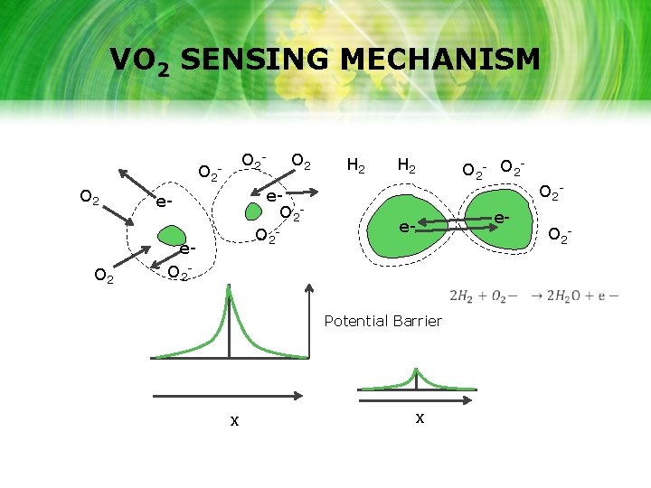 VO 2 SENSING MECHANISM O 2 - O 2 O 2 O 2 e.