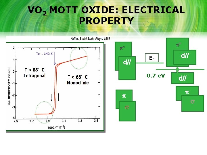 VO 2 MOTT OXIDE: ELECTRICAL PROPERTY p* p* d// EF 0. 7 e. V
