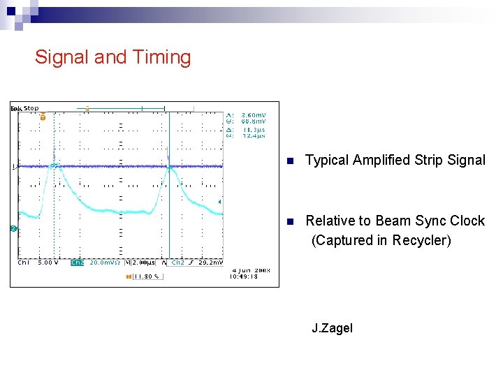 Signal and Timing n Typical Amplified Strip Signal n Relative to Beam Sync Clock