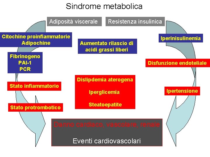 Sindrome metabolica Adiposità viscerale Citochine proinfiammatorie Adipochine Resistenza insulinica Iperinisulinemia Aumentato rilascio di acidi