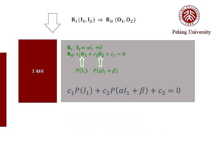 Peking University 1 -MR 