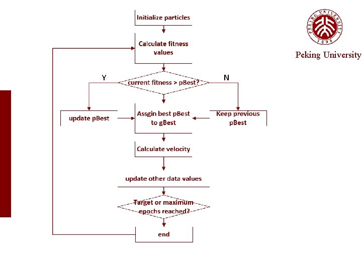Peking University Y N 