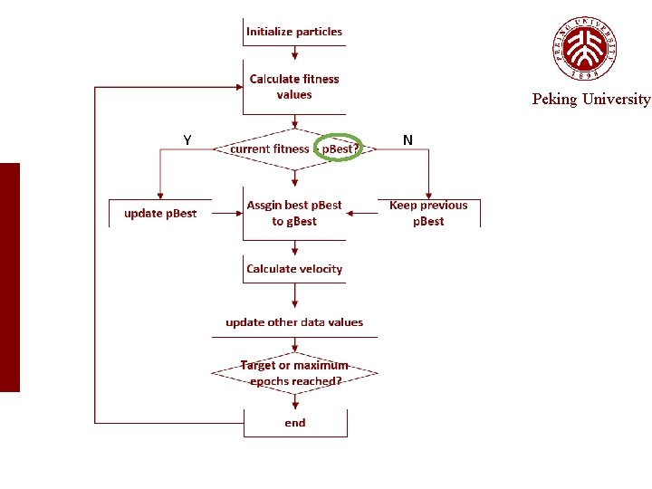 Peking University Y N 
