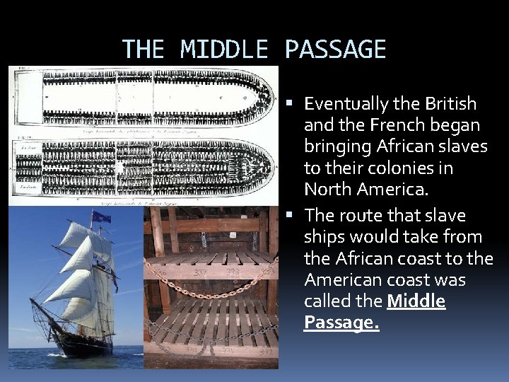 THE MIDDLE PASSAGE Eventually the British and the French began bringing African slaves to