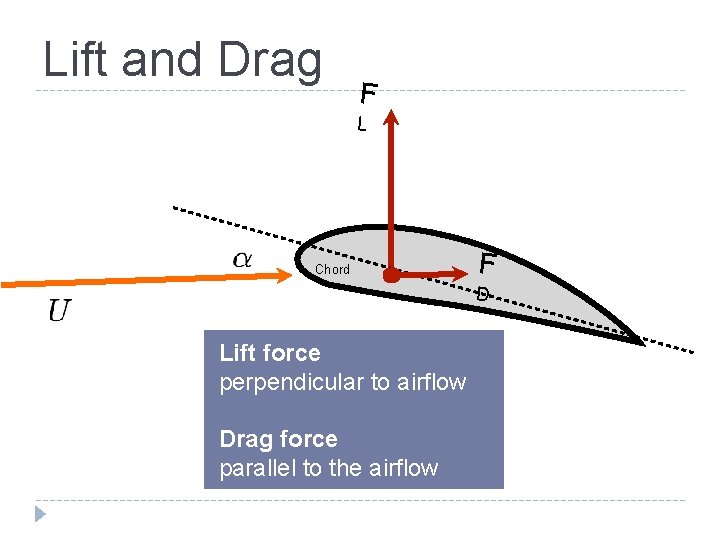 Lift and Drag F L Chord F D Lift force perpendicular to airflow Drag