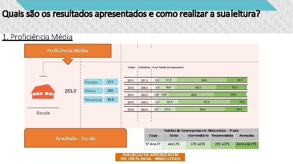 Quais são os resultados apresentados e como realizar a sua leitura? 1. Proficiência Média