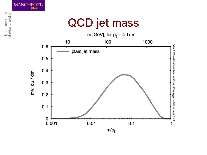 QCD jet mass 
