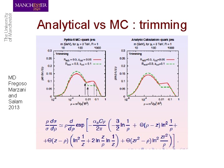 Analytical vs MC : trimming MD Fregoso Marzani and Salam 2013 