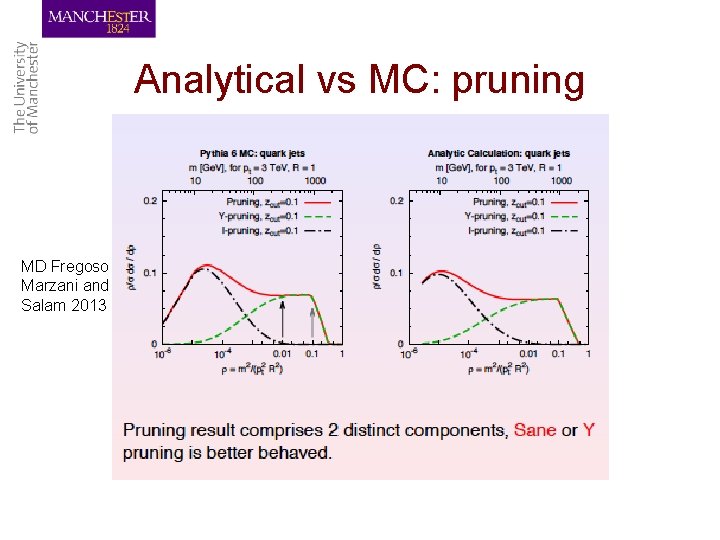 Analytical vs MC: pruning MD Fregoso Marzani and Salam 2013 