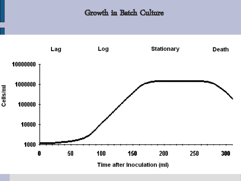 Growth in Batch Culture Growth in Batch Culture