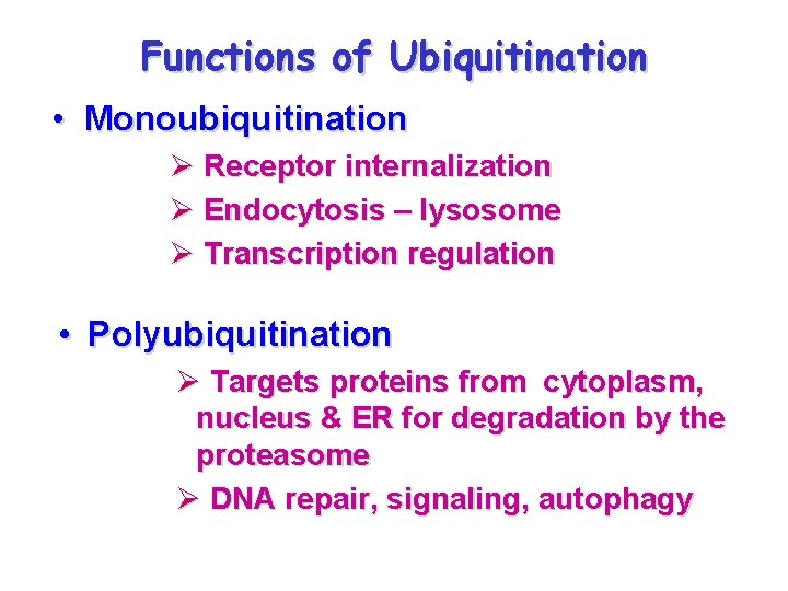 Functions of Ubiquitination • Monoubiquitination Ø Receptor internalization Ø Endocytosis – lysosome Ø Transcription