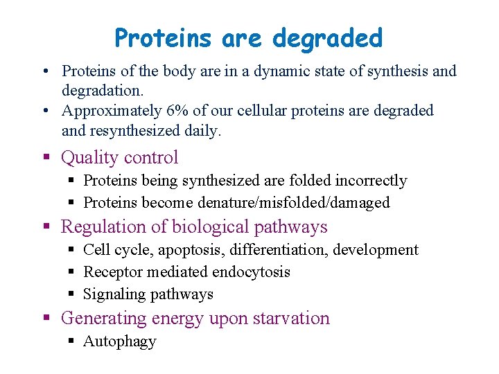 Proteins are degraded • Proteins of the body are in a dynamic state of