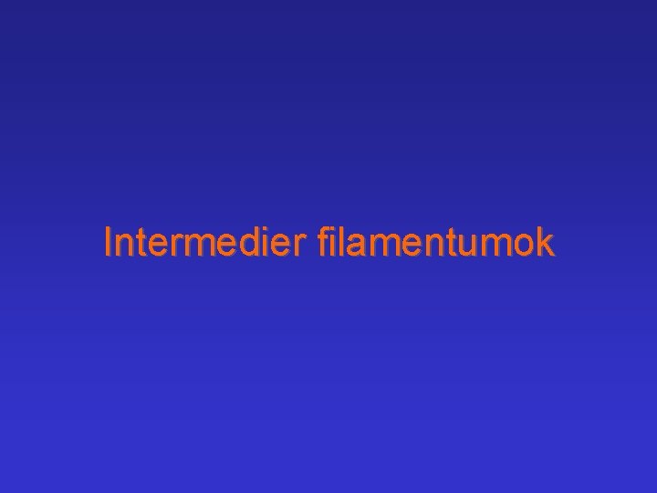 Intermedier filamentumok 