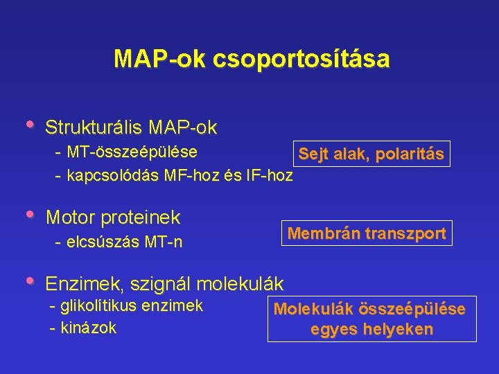 MAP-ok csoportosítása • Strukturális MAP-ok - MT-összeépülése Sejt alak, polaritás - kapcsolódás MF-hoz és