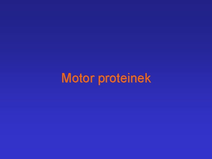 Motor proteinek 