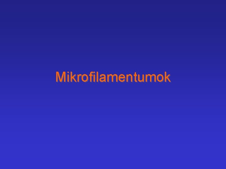 Mikrofilamentumok 