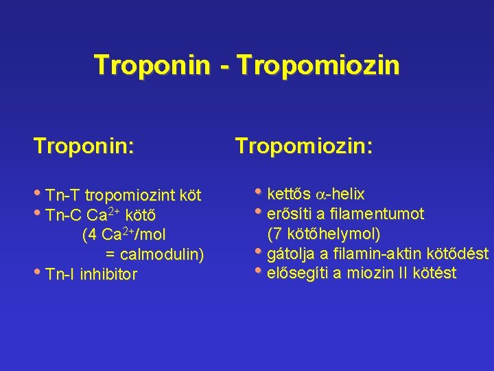 Troponin - Tropomiozin Troponin: • Tn-T tropomiozint köt • Tn-C Ca 2+ kötő (4