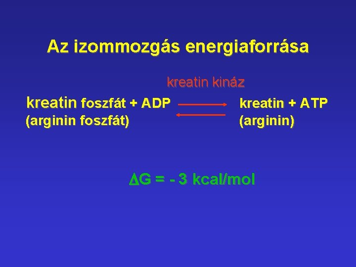 Az izommozgás energiaforrása kreatin kináz kreatin foszfát + ADP kreatin + ATP (arginin foszfát)