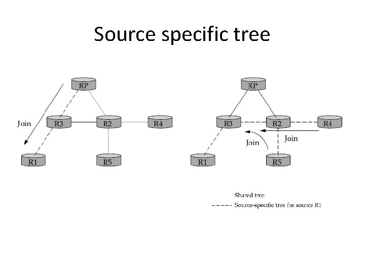 Source specific tree 