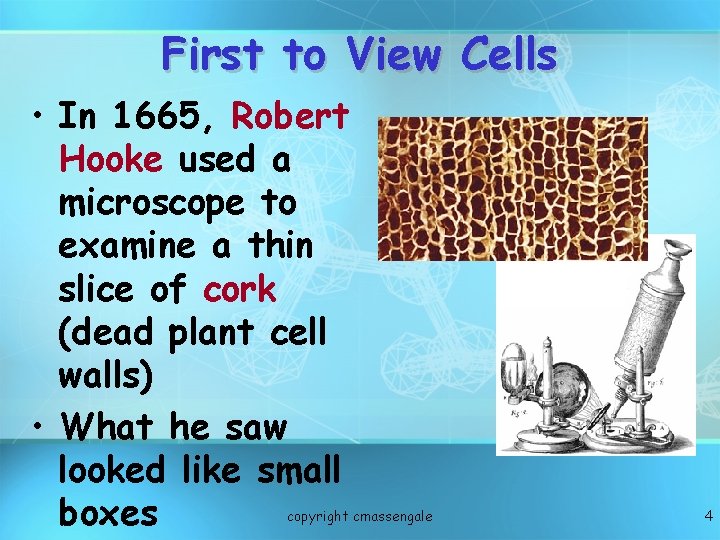First to View Cells • In 1665, Robert Hooke used a microscope to examine