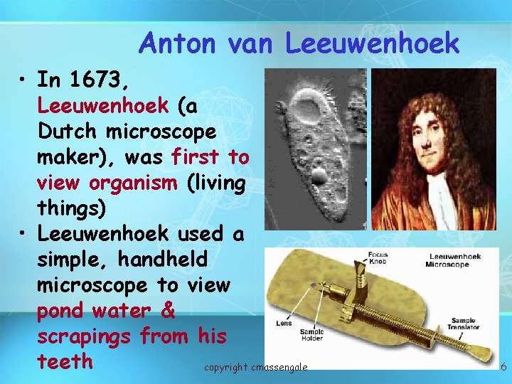 Anton van Leeuwenhoek • In 1673, Leeuwenhoek (a Dutch microscope maker), was first to