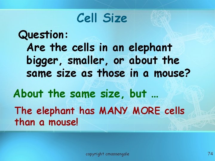 Cell Size Question: Are the cells in an elephant bigger, smaller, or about the
